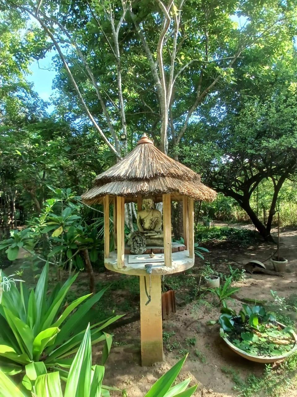 Villa Habarana Exterior photo