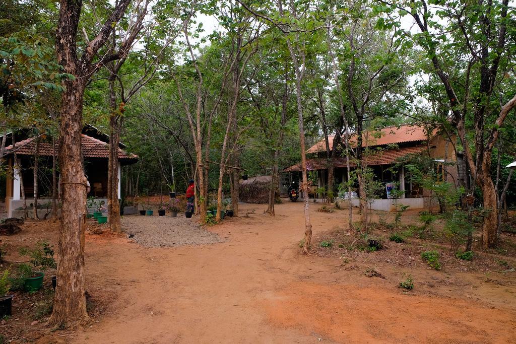 Villa Habarana Exterior photo